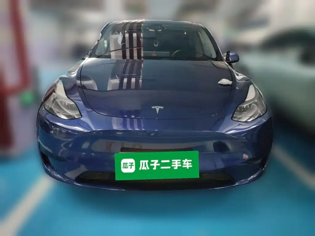 Tesla Model Y — миниатюра 2