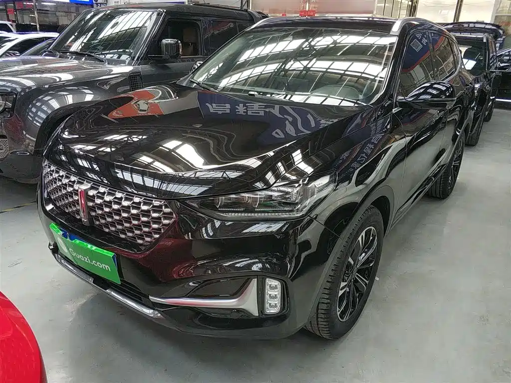 Wey Wey VV6 2020