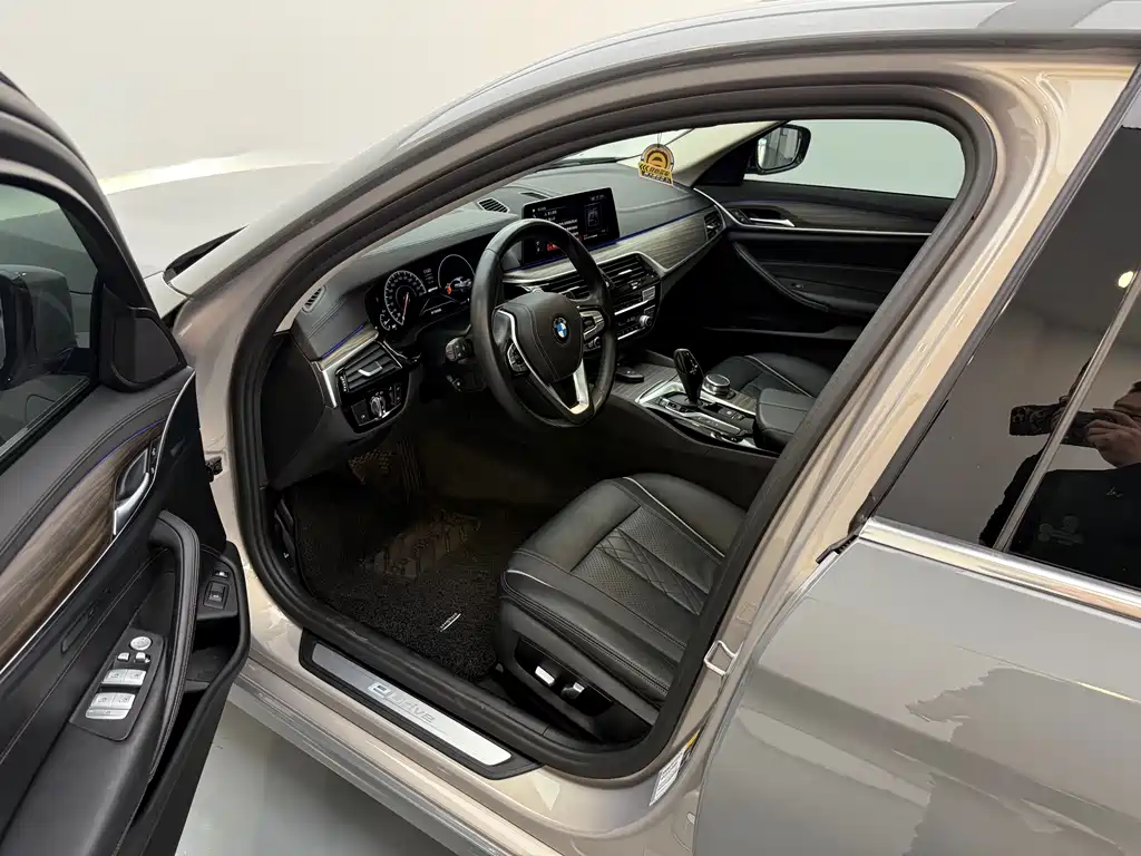 BMW 5 SERIES NEW ENERGY