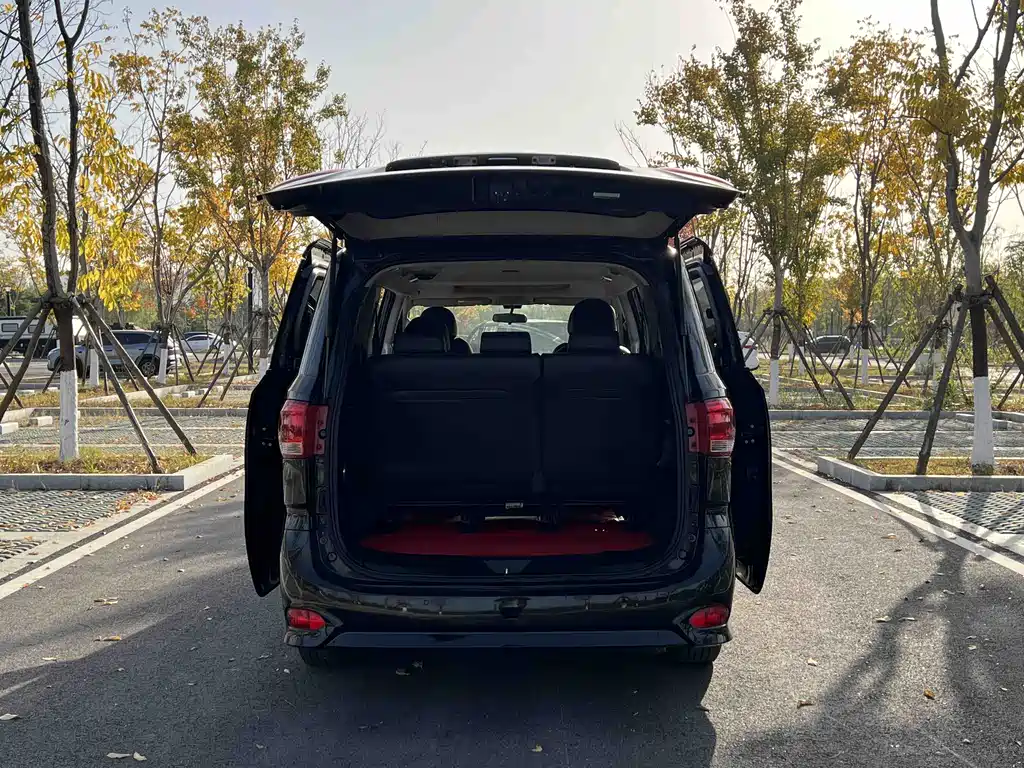 SAIC MAXUS CHASE G10