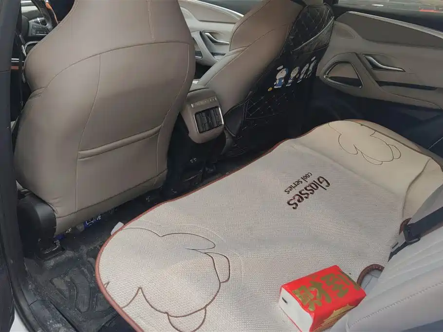 BYD SONGJIANG NEW ENERGY