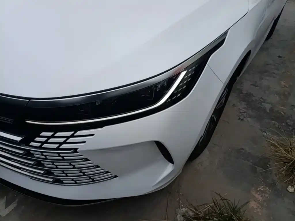 BYD Destroyer 05 — миниатюра 24