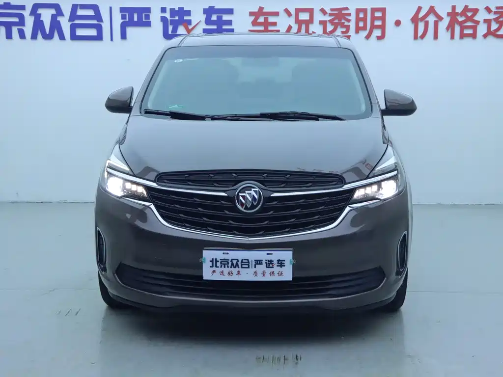 Buick GL8 Land Business Class 652T Luxury Type, фото 3