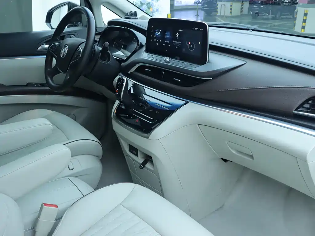 Buick GL8 Land Business Class 652T Luxury Type, фото 9