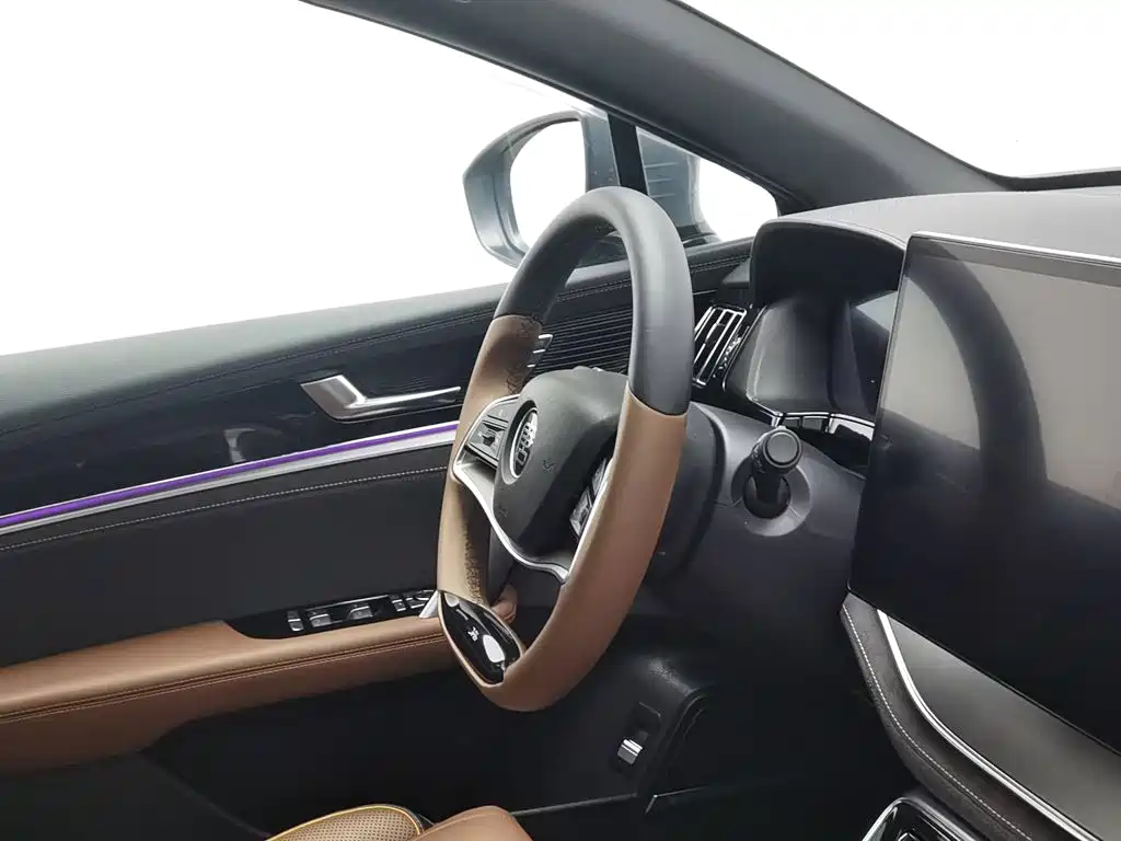 BYD Tang New Energy — миниатюра 22