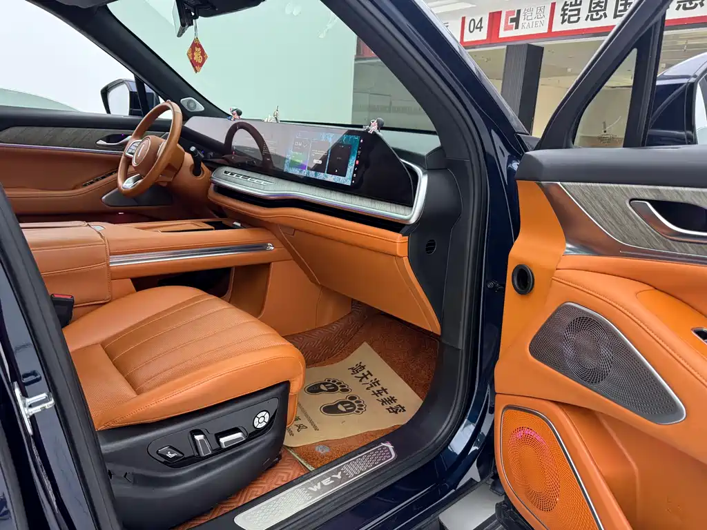 WEI PAI WEI BRAND BLUE MOUNTAIN