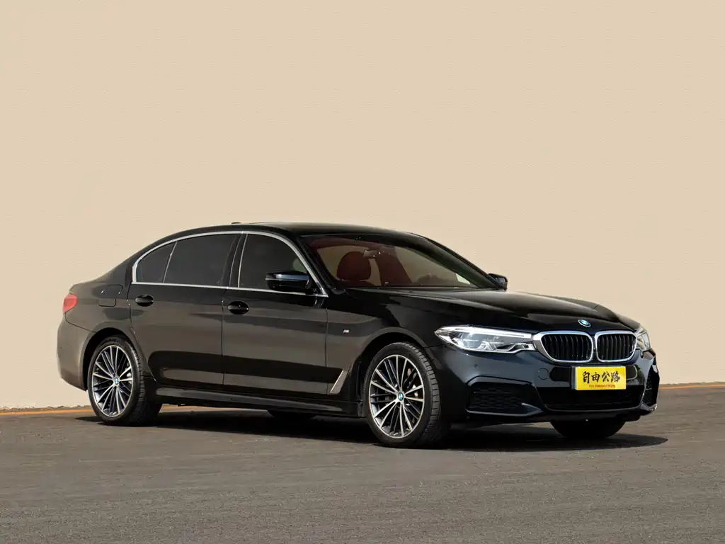 BMW 5 Series 5 2020 530Li xDrive M Sport