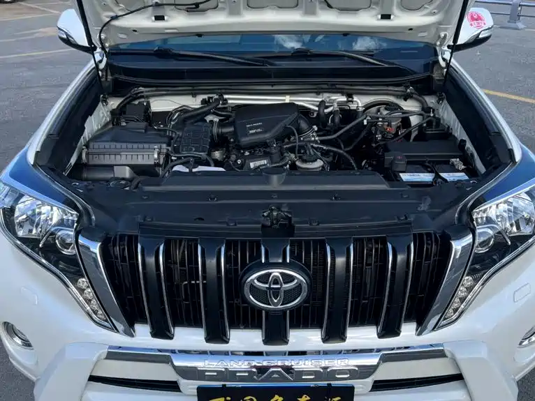 Toyota Prado (Import) — миниатюра 23