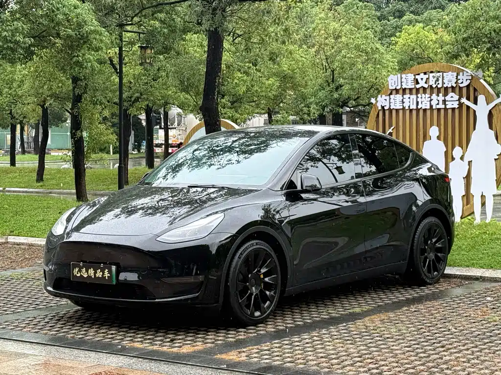 Tesla Model Y — фотографии объявления, Фото 2