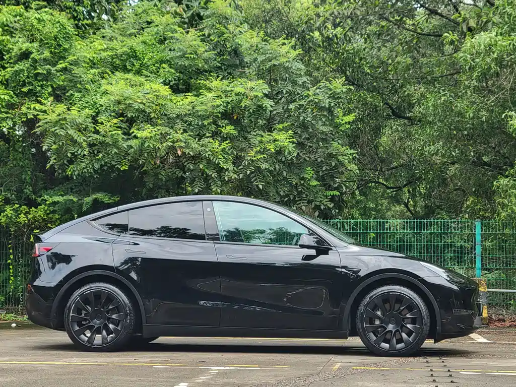 Tesla Model Y — миниатюра 13