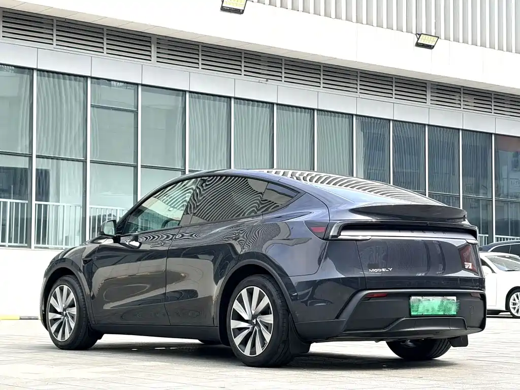 Tesla Model Y — миниатюра 9