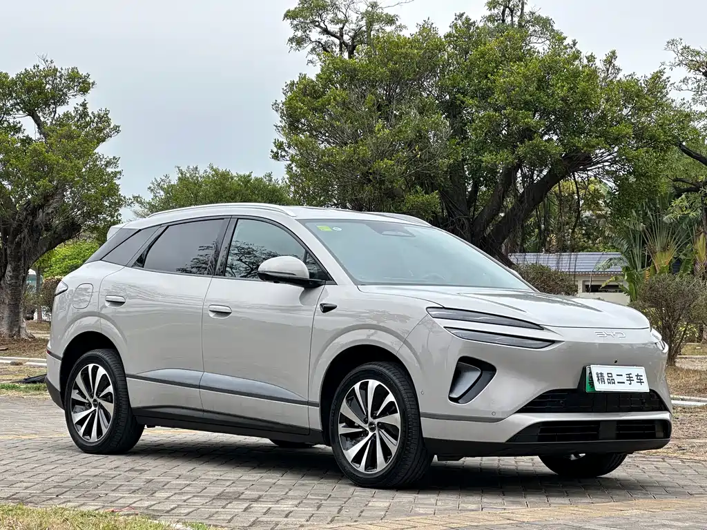 BYD SEA LION 06 NEW ENERGY