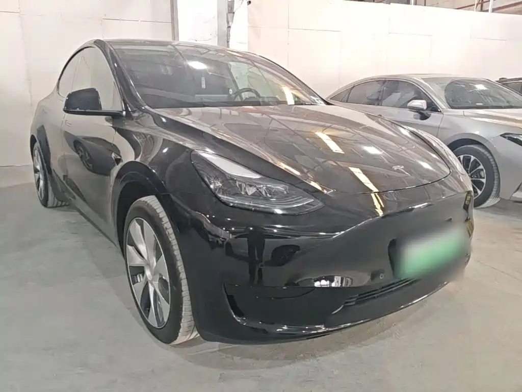 Tesla Model Y — миниатюра 4