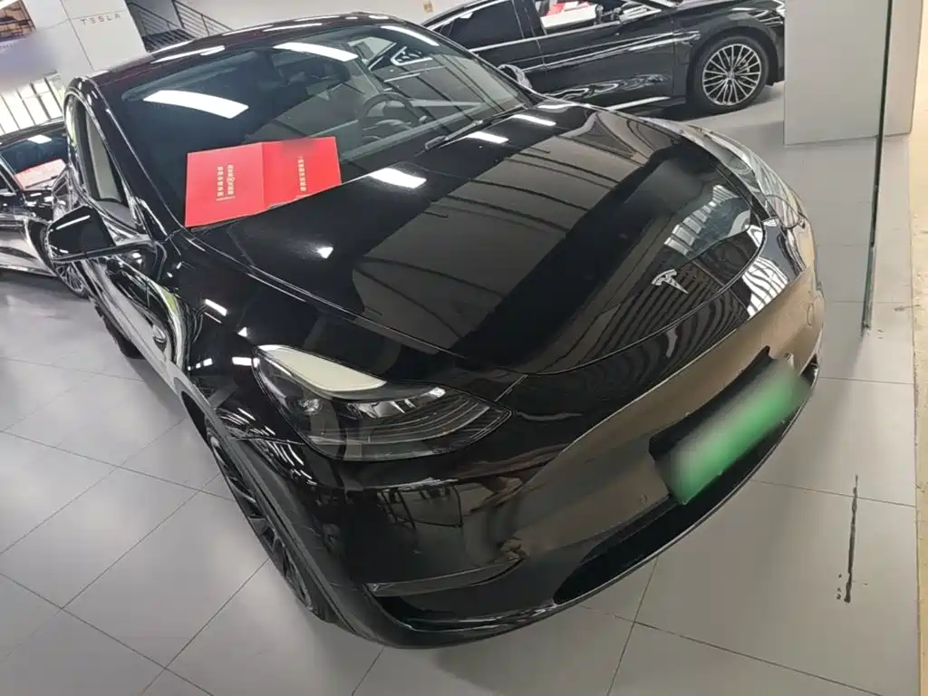 Tesla Model Y — миниатюра 4