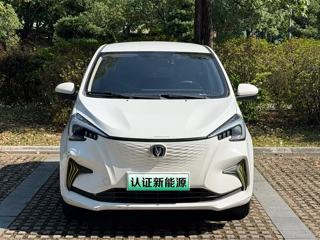 Changan Benben E-Star — миниатюра 2