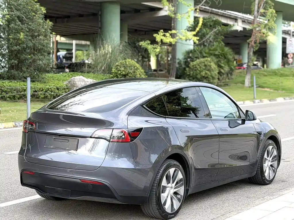 Tesla Model Y — миниатюра 8