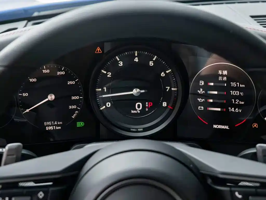 Porsche 911 — миниатюра 20