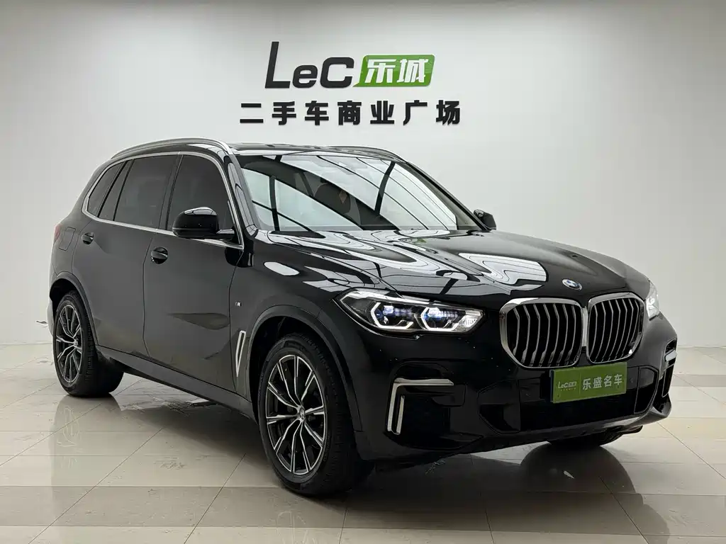 BMW X5 — миниатюра 2