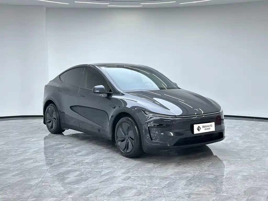 Tesla Model Y — миниатюра 2