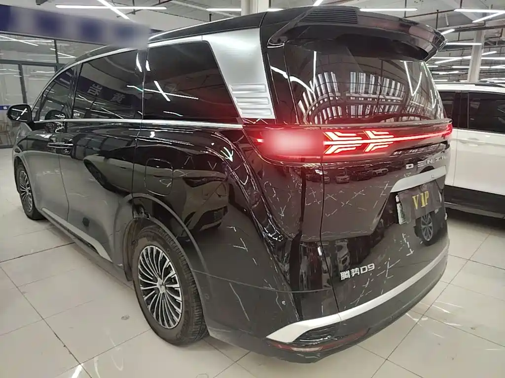Denza Denza D9 — миниатюра 5