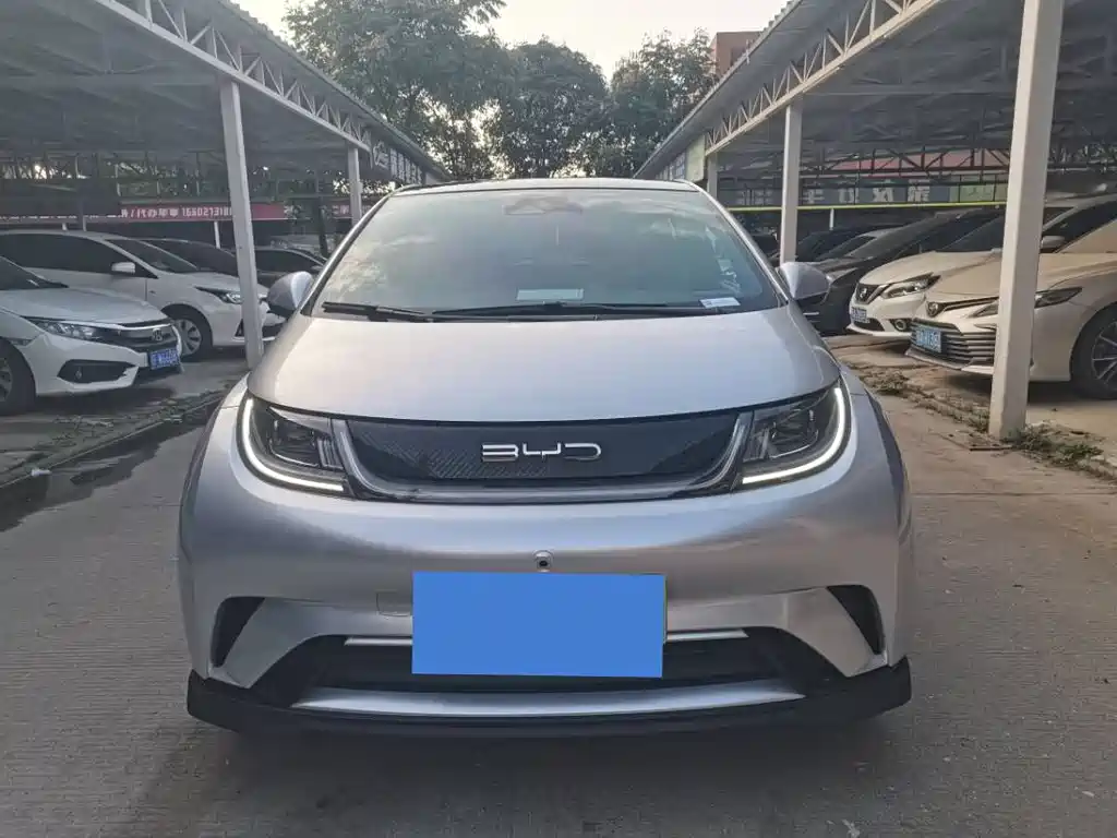 BYD Dolphin — миниатюра 2