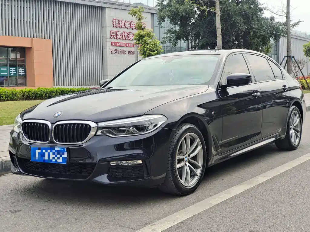 BMW 5 Series 2019