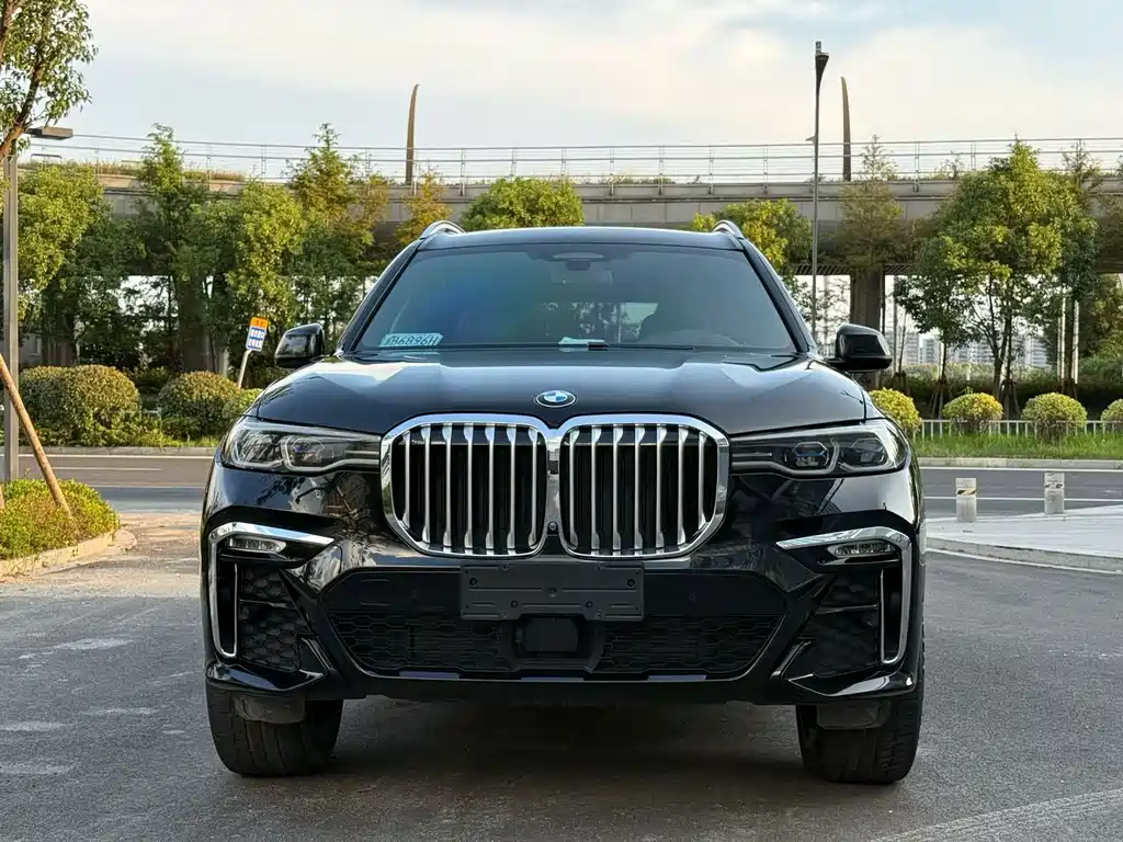 BMW X7 — миниатюра 2