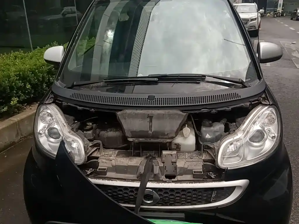 smart Smart Fortwo — миниатюра 20