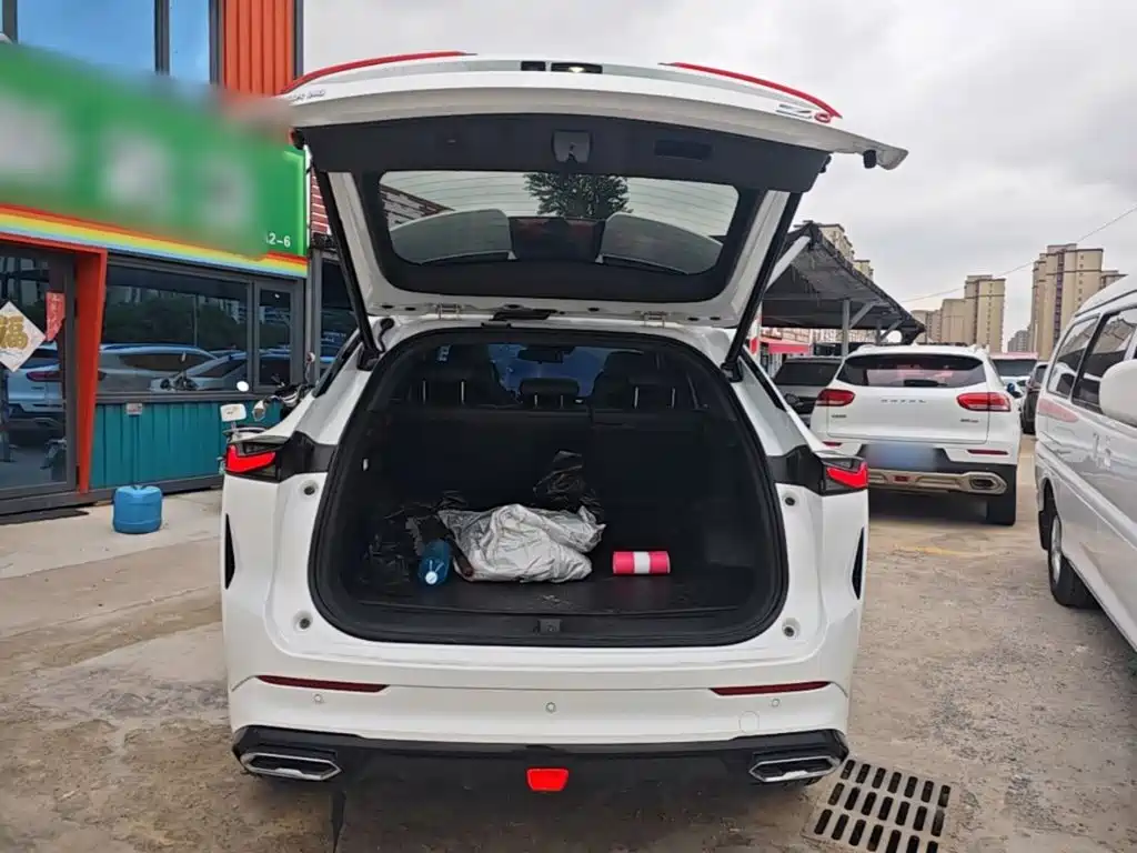 Oshan Oushang Z6 New Energy — миниатюра 19