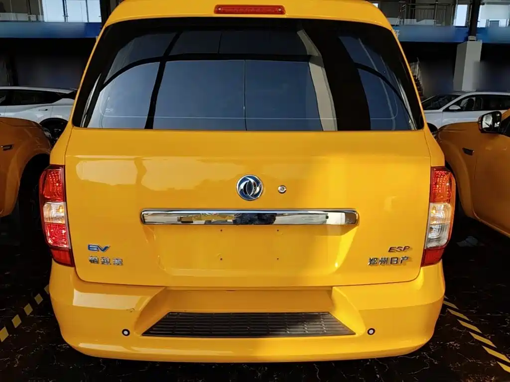 Dongfeng Rich 6 New Energy — миниатюра 6
