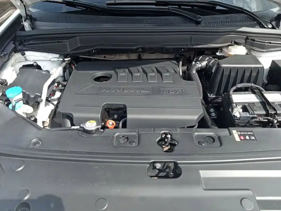 Haval H6 Coupe — миниатюра 10