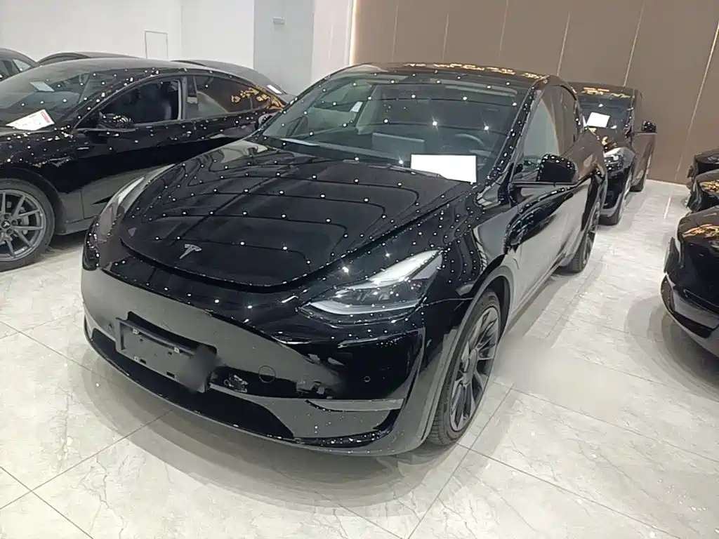 Tesla Model Y — миниатюра 2