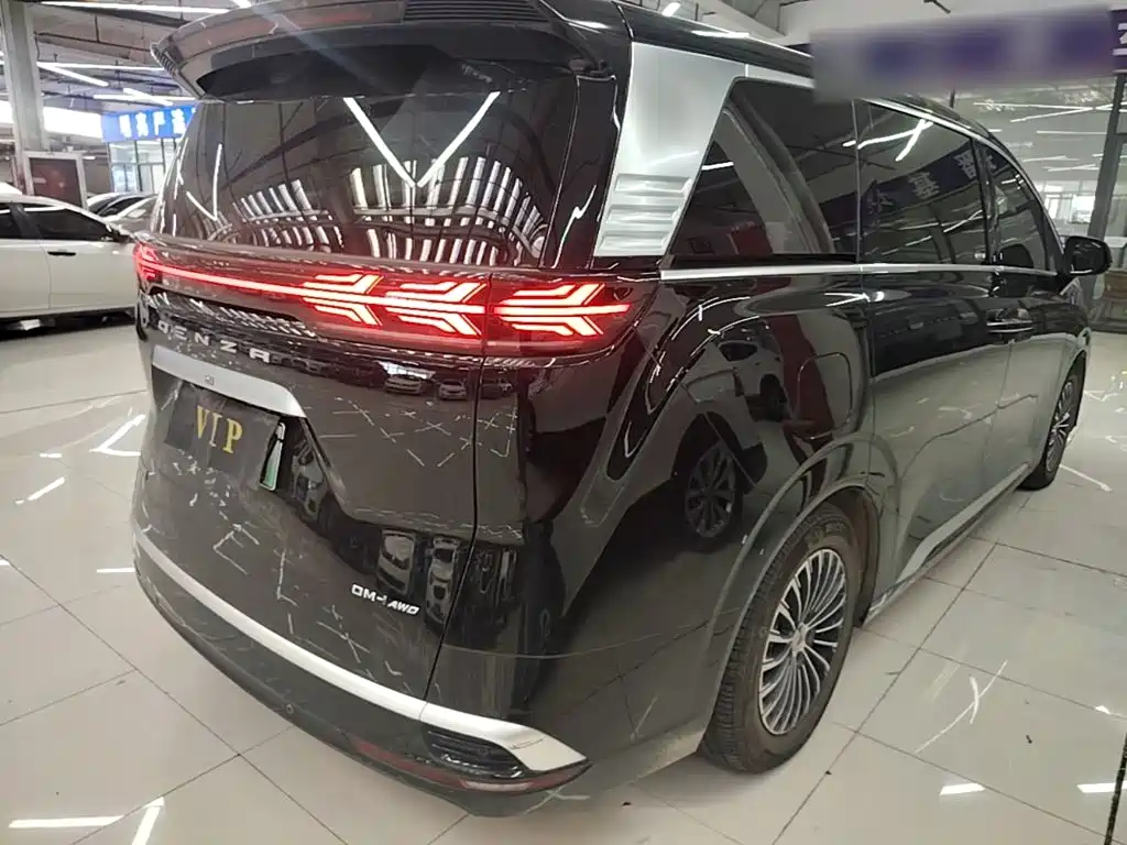 Denza Denza D9 — миниатюра 7