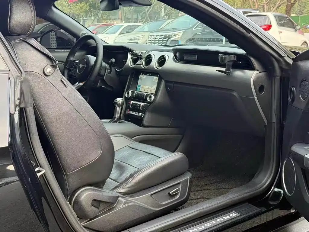 Ford Mustang — миниатюра 7