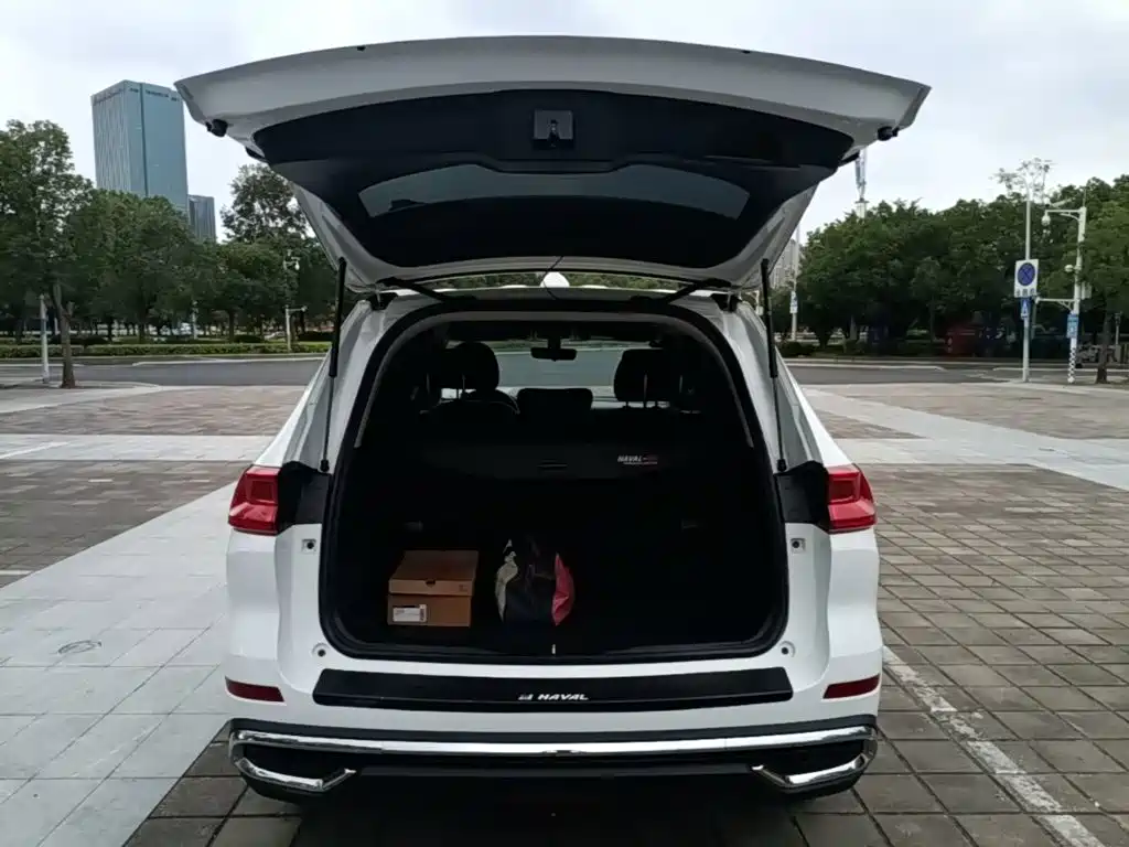 Haval M6 — миниатюра 19