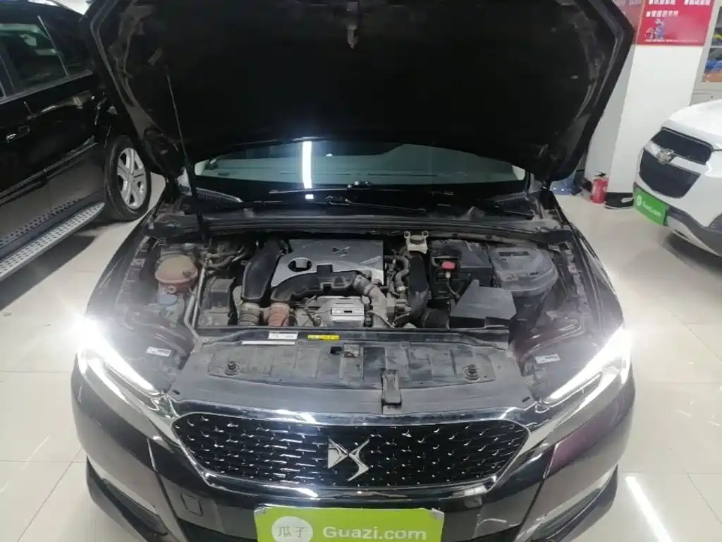 DS DS 5LS — миниатюра 20