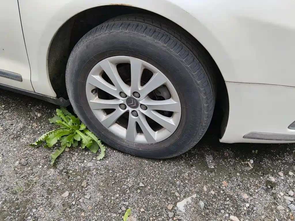 Citroen C5 — миниатюра 24
