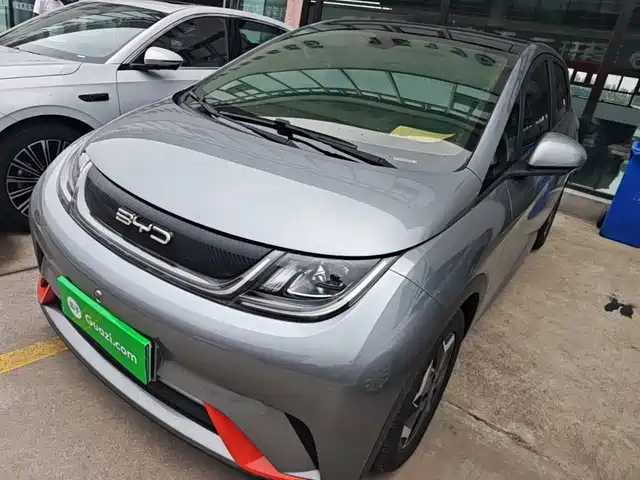 2023 BYD Dolphin
