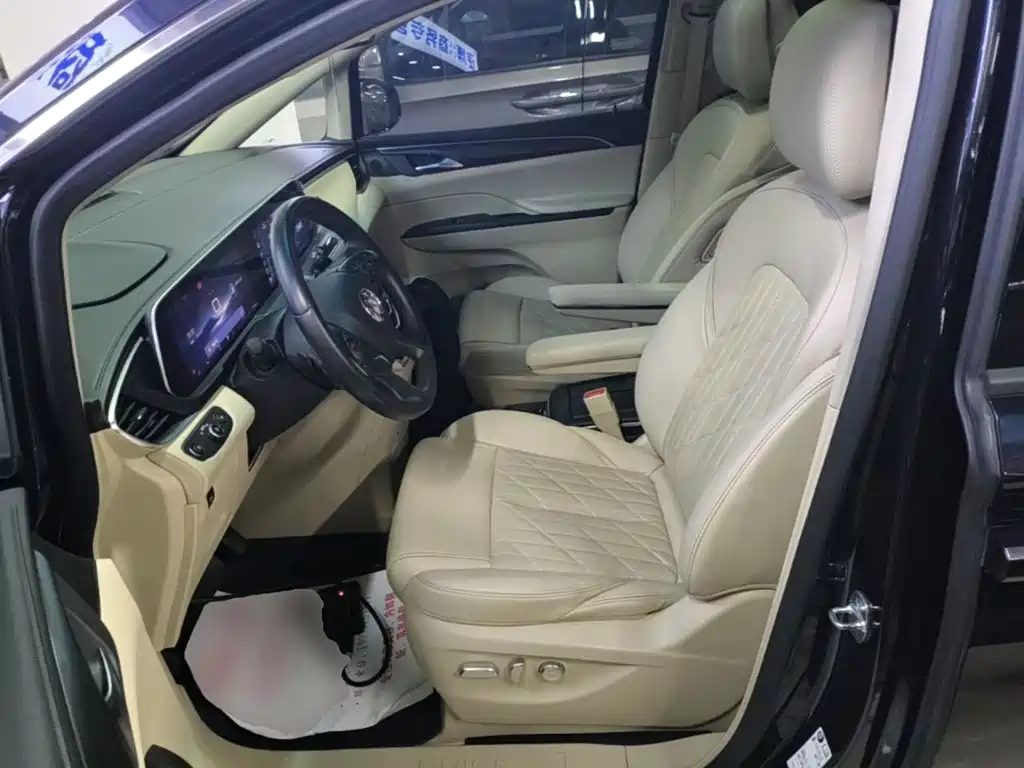 Buick GL8 — миниатюра 15