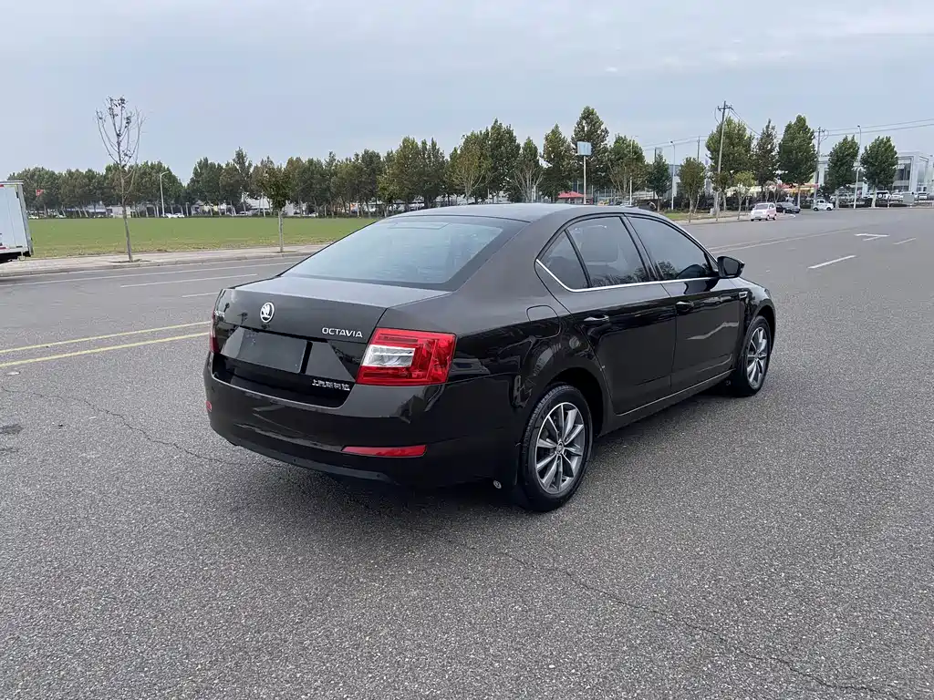 Skoda Octavia — миниатюра 4