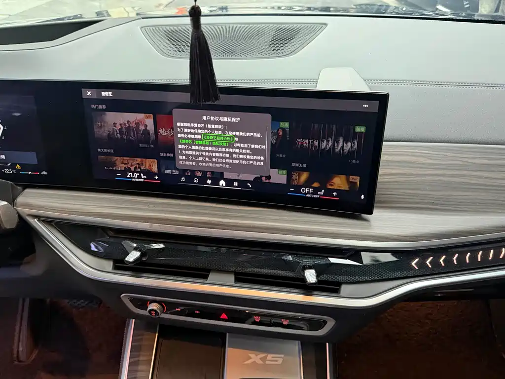 BMW X5 — миниатюра 12