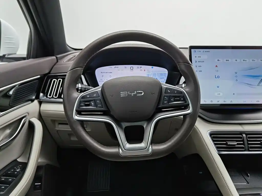 BYD PLUS New Energy — миниатюра 11