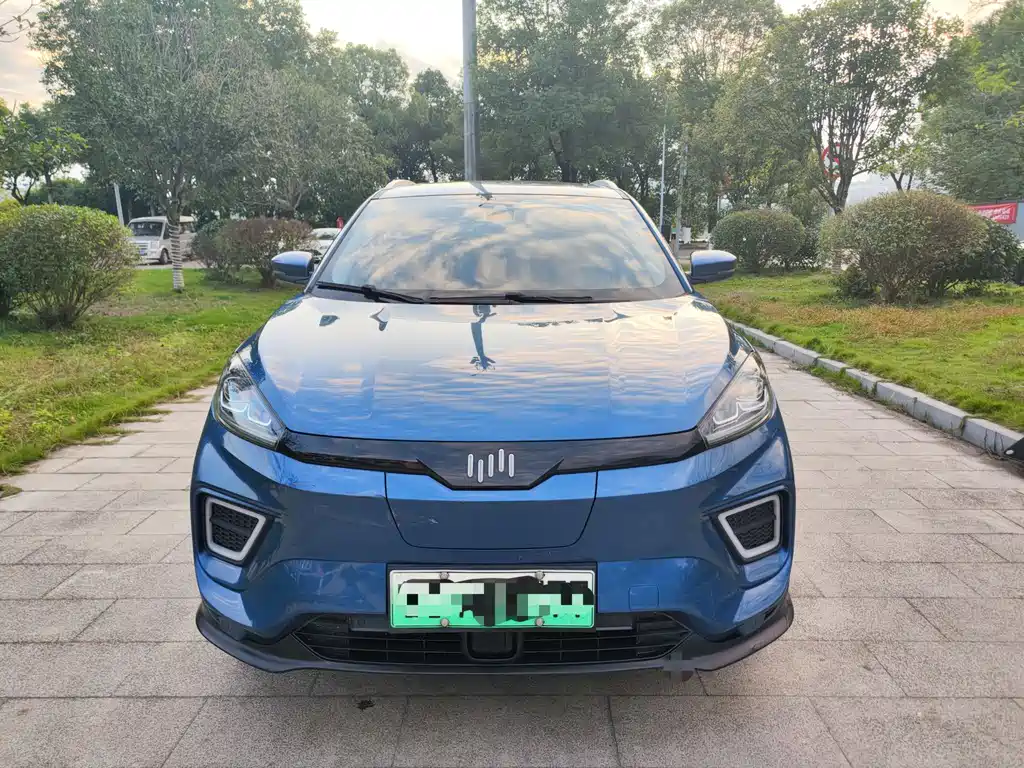 Weltmeister WEIMA EX5