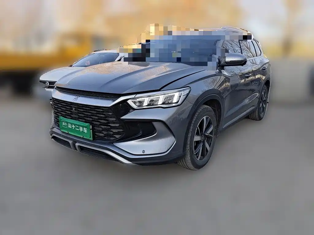 BYD Pro New Energy