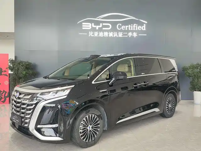 2024 Denza D9