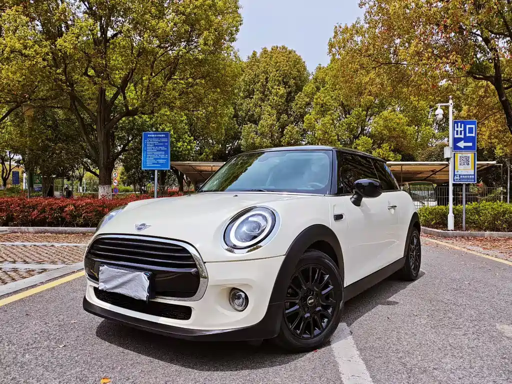 Mini Mini 2021