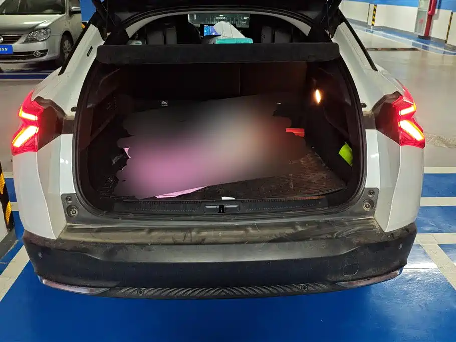 CITROEN VERSAILLES C5 X