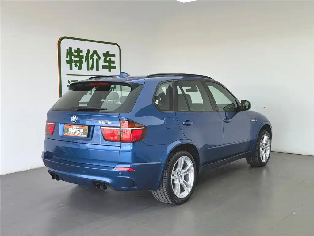 BMW X5 M 2010 X5 M