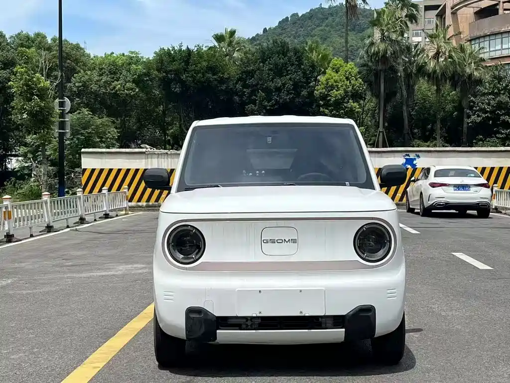 GEELY GALAXY PANDA