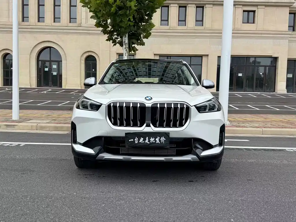 BMW X1 — миниатюра 2